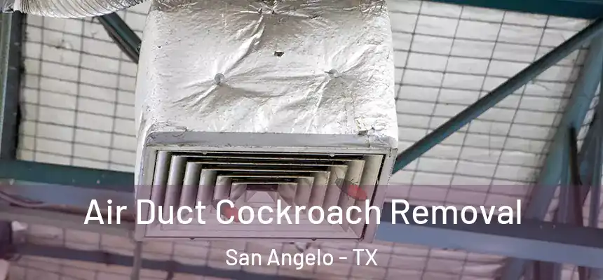 Air Duct Cockroach Removal San Angelo - TX