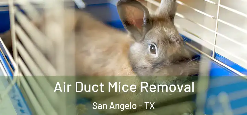 Air Duct Mice Removal San Angelo - TX