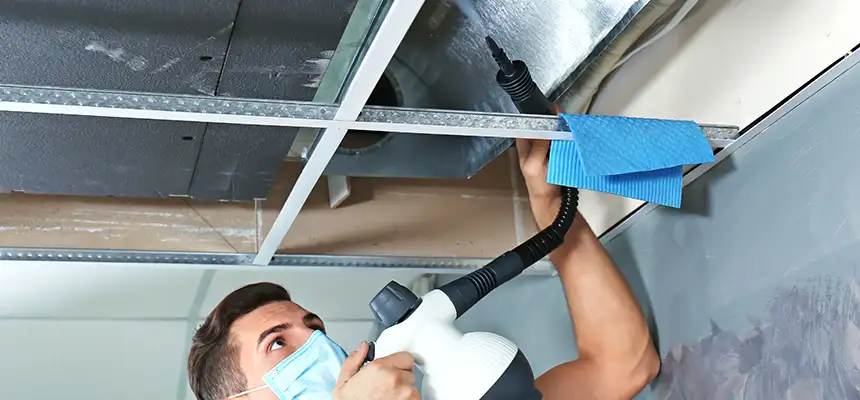 Our Air Duct Rodent Removal Services in San Angelo, TX