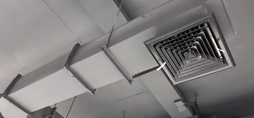 Our Pest Removal From Ducts Services in San Angelo, TX