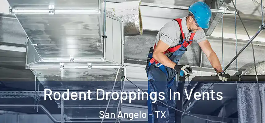  Rodent Droppings In Vents San Angelo - TX