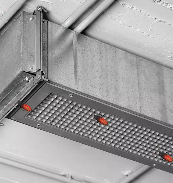 About Air Duct Cockroach Removal in San Angelo, TX