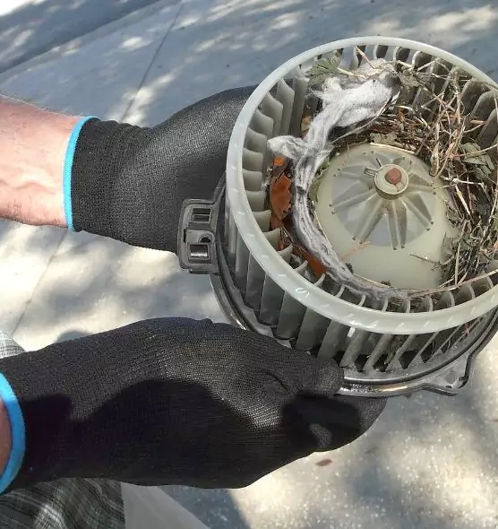 About Air Duct Mice Removal in San Angelo, TX