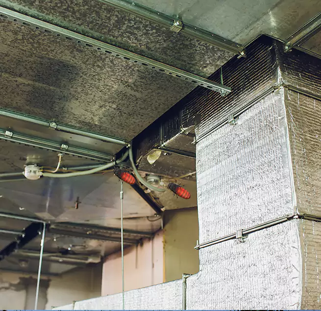 Why Homeowners & Businesses Trust Us in San Angelo, TX?