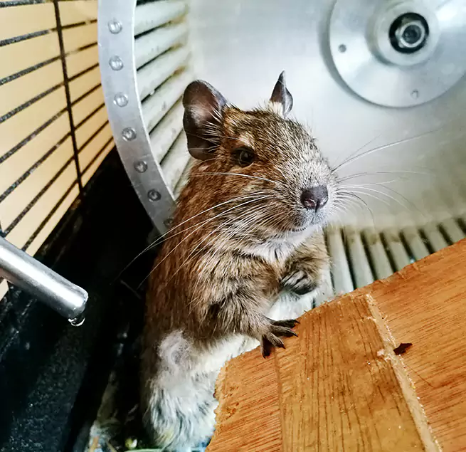 Why Homeowners & Businesses Trust Us San Angelo, TX