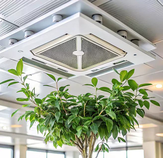 Why Homeowners & Businesses Trust Us in San Angelo, TX?